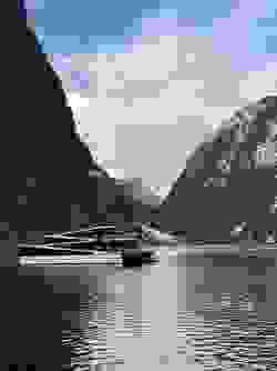 Section image
