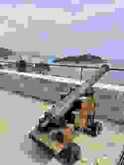 Section image