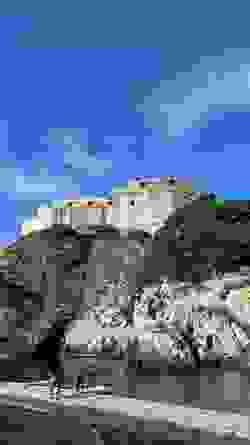 Section image
