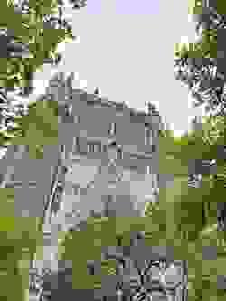 Section image