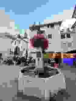 Section image