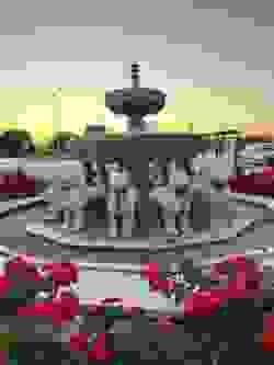 Section image