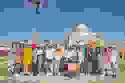 Section image
