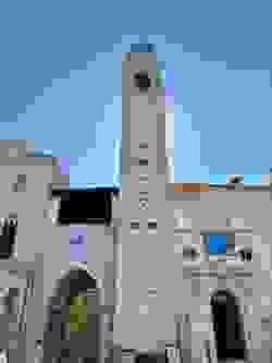 Section image