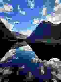 Section image