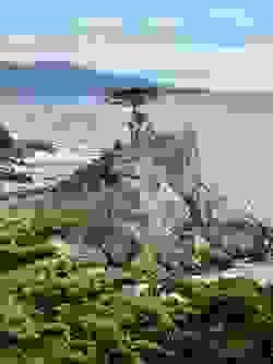 Section image
