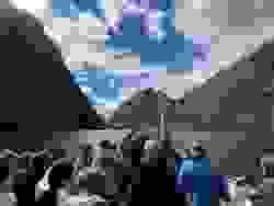 Section image
