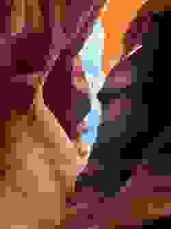 Section image