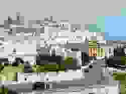 Section image