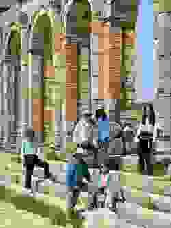 Section image