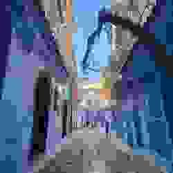 Section image