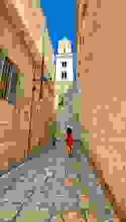Section image