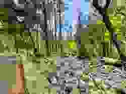 Section image