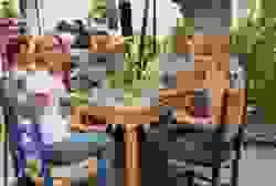 broken image