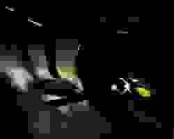 Section image