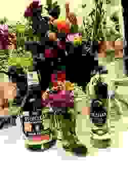 broken image