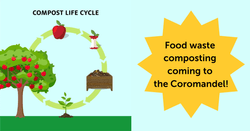 Thames-Coromandel District Council sets up food waste composting