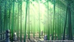 背景イラスト「竹林・昼」