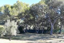 Section image