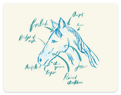 My horse-riding notes ⊛ Made with GoodNotes app