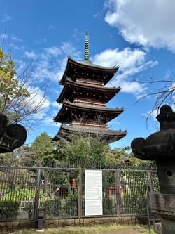 旧寬永寺　五重塔
