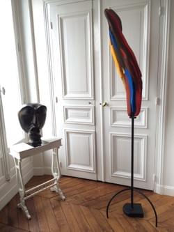 Perroquet - Collection particulière