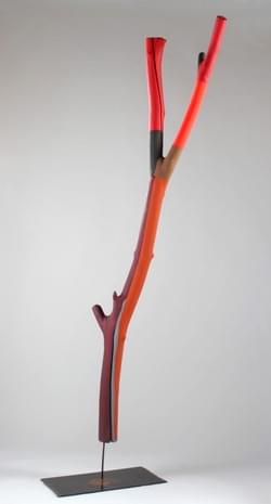 Un Arbre à Boulogne