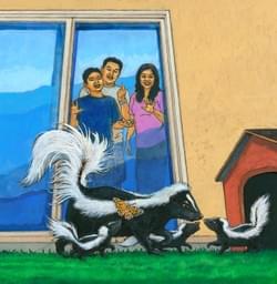 Skunk and babies