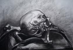 Skeleton Study