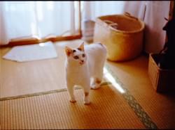 Yuki (2023)