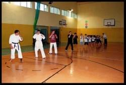 We promote karate