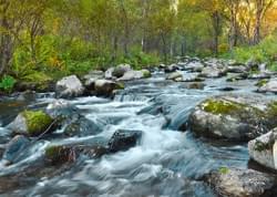 CENTER FOR IGNATIAN SPIRITUALITY POSTCARD (FRONT)
