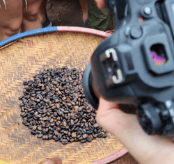 Materuni Coffee Experience – Traditional Tanzanian Coffee Roasting & Culture
