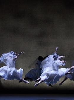   Giselle Ballet choreography by Pontus Lidberg for Theater Basel 2020  Photo Patrik Bogart Costume design Rachel Quarmby-Spadaccini