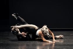 BETWEEN DOGS AND WOLVES Ballet costumes and masks by Rachel Quarmby-Spadaccini choreography Pontus Lidberg for Wiener Straatsballett 2020 