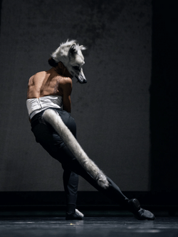 BETWEEN DOGS AND WOLVES Ballet costumes and masks by Rachel Quarmby-Spadaccini choreography Pontus Lidberg for Wiener Straatsballett 