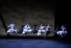  Giselle Ballet choreography by Pontus Lidberg for Theater Basel 2020  Photos by Patrik Bogart costumes by Rachel Quarmby-Spadaccini 