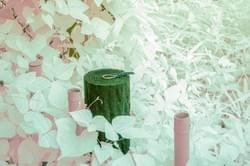 木を模した柵の上のトカゲ。植物の葉は赤外線 を反射する。