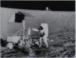 Section image