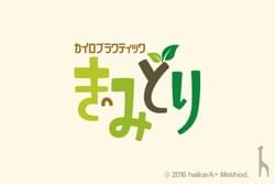 カイロプラクティックきみどり