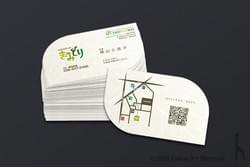 カイロプラクティックきみどり