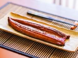Frozen grilled eel supplier