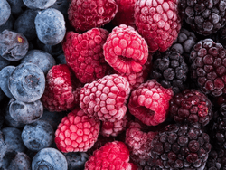IQF Frozen Berries Supplier