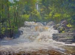 "Childs State Park", Dingmans Ferry, Pa. 12x16 oil on linen