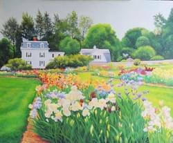 Presby Gardens 20" x 24" Oil on linen $250