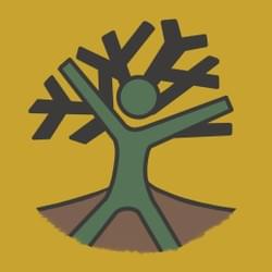 枯木逢春在台中x鐵樹開花北屯