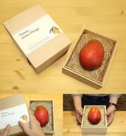 屏東縣政府/愛文芒果禮盒｜品牌規劃與經營