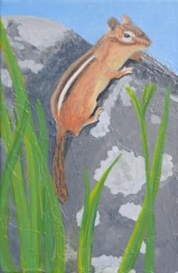 Chipmunk