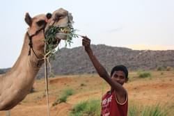 "I started to work with camels I was 7 years old, I’m 12. I am used to travel inside the desert, walk a lot a lot. I want to become a fighter pilot. Well ... for now ... I drive a camel called Johnny, this is not the glory but perhaps I could set aside enough money to realize my dream one day."