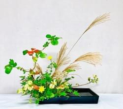 Realistic Landscaping